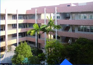 东涌镇鱼窝头中学改造工程