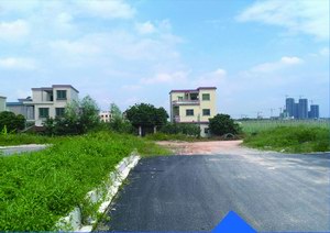 榄核镇西线公路延长段工程----照明及绿化工程