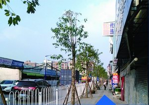 石夏路升级改造工程施工总承包